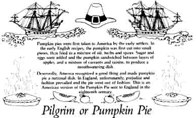Pumpkin pie