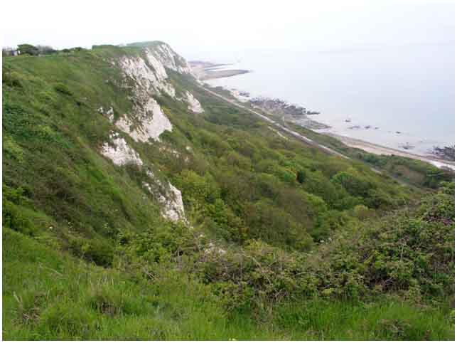 View from cliff path