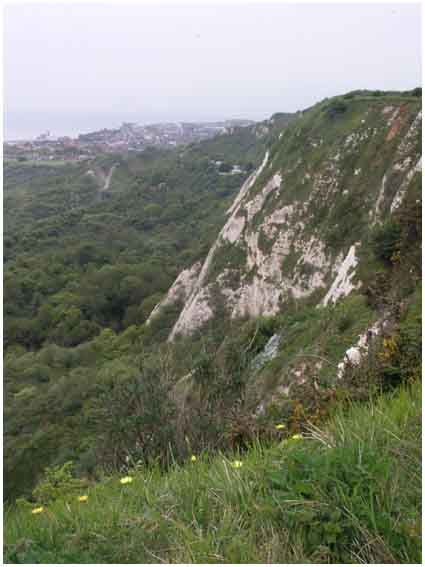 View towards Folkestone