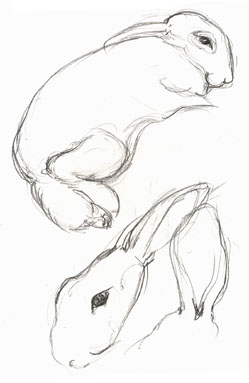 Rabbits at The London Show