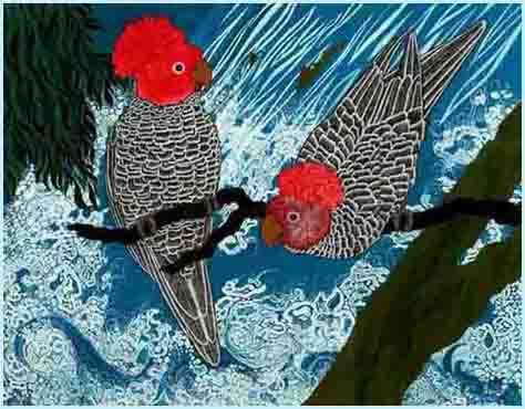 Gang Gang Cockatoos