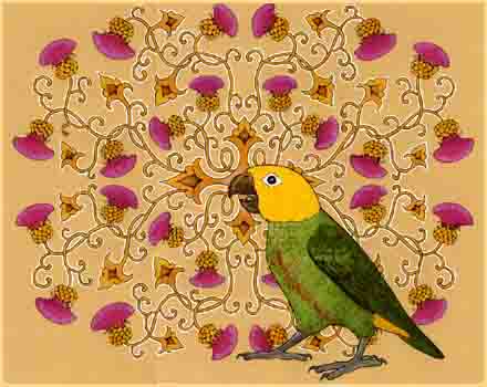 Yellow headed parrot