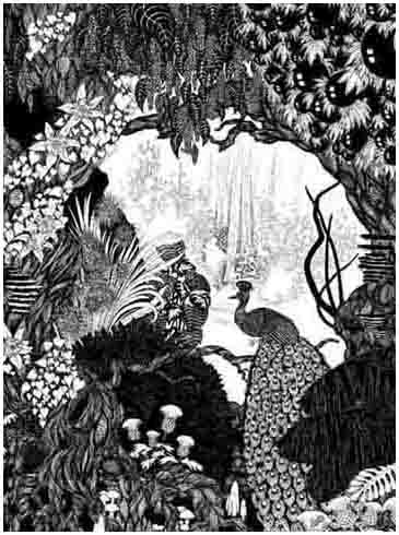 Fantasy Peacock