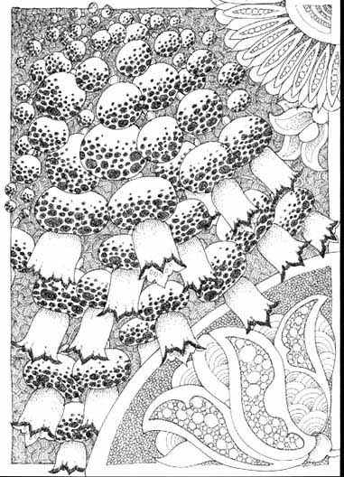 paisley