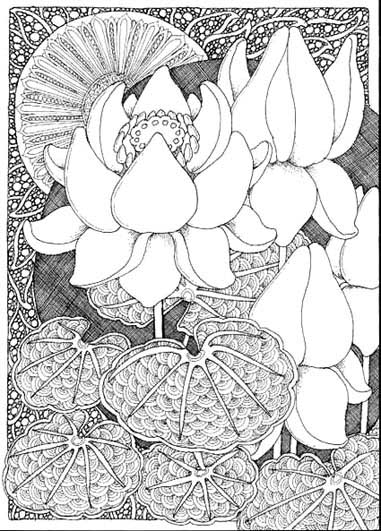 paisley