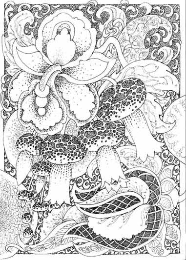 paisley