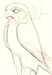 Horus Falcon