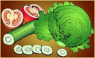Salad