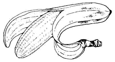 banana