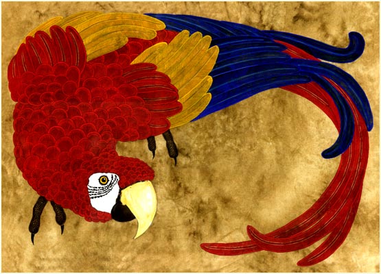 red macaw