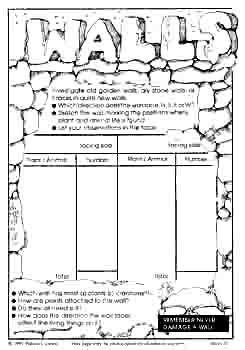 walls