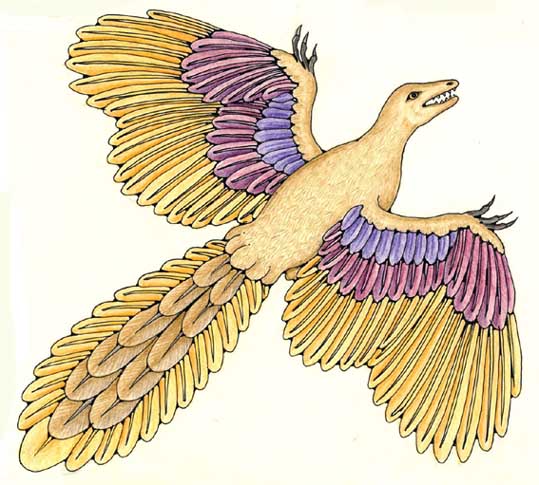 Archaeopteryx