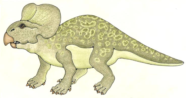 Protoceratops
