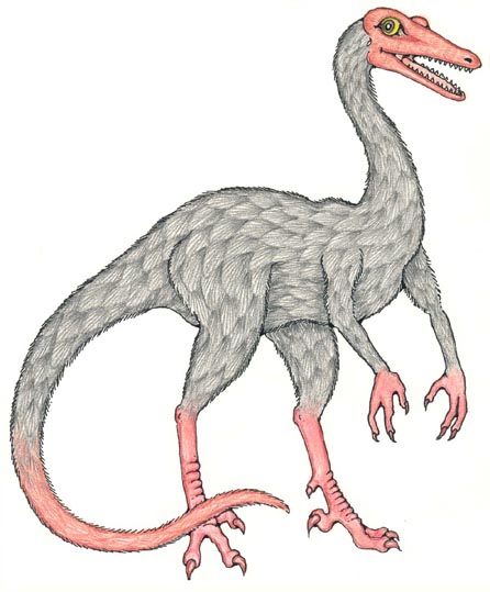 Troodon