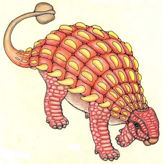 Ankylosaurus