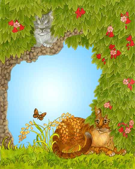 cats