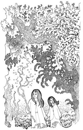 frightening forest